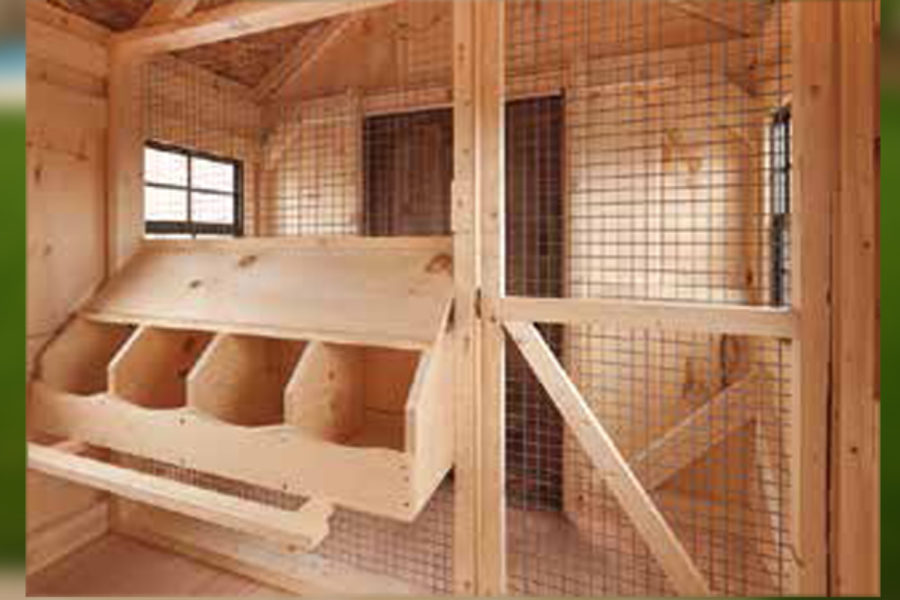 Inside Chicken Coup